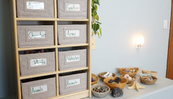 Sand Tray Items